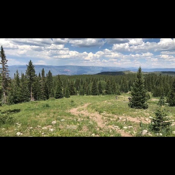 Meet the posher - Picture 6 of 8